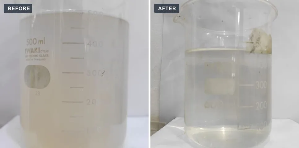 Dairy plant: wastewater sample before and after treatment