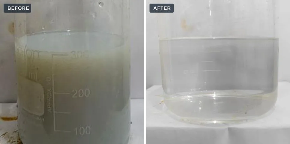 Rubber latex processing plant: wastewater sample before and after treatment