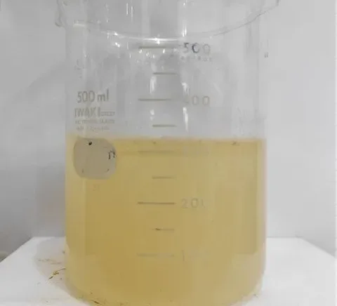 Snack food factory: wastewater before treatment