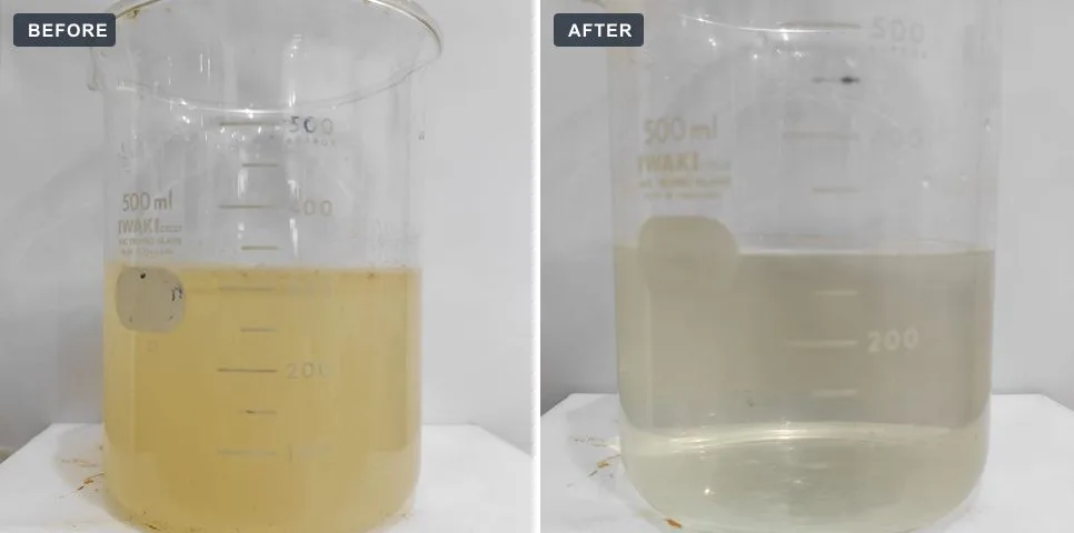 Snack food factory: wastewater sample before and after treatment